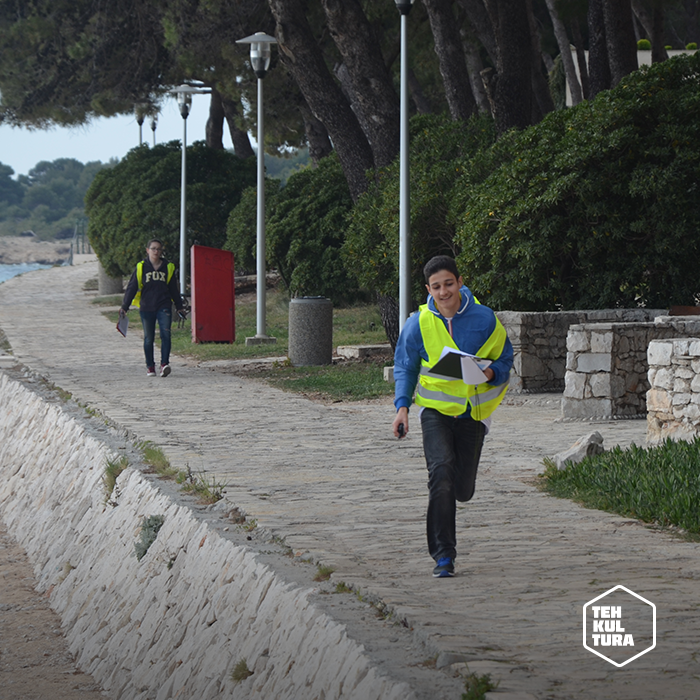 12936664 473577036183395 1903070232293340678 n